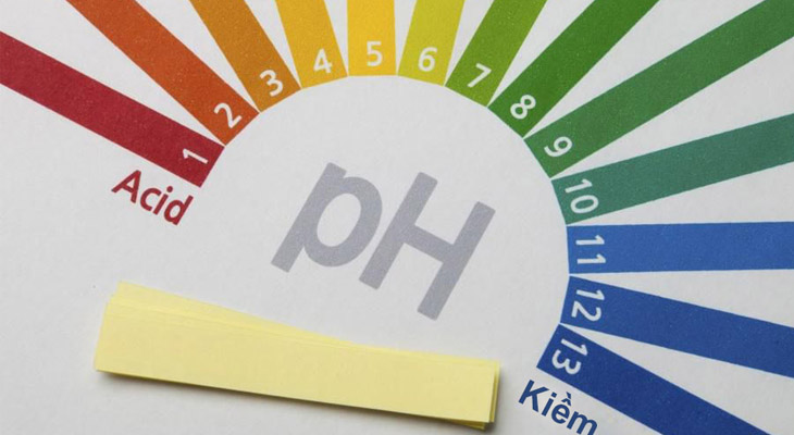 Bạn có thể dùng quỳ tím để xem độ pH trong mỹ phẩm