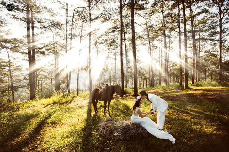 Chụp ảnh cưới tại thung lũng vàng Đà Lạt