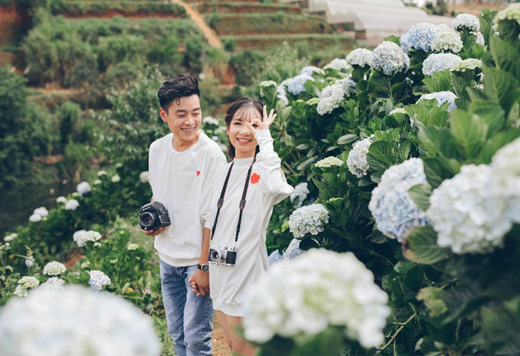 Chụp ảnh cưới bên vườn hoa cẩm tú cầu