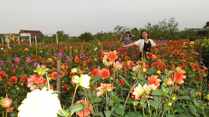 Chụp ảnh tại vườn Bách Thuận