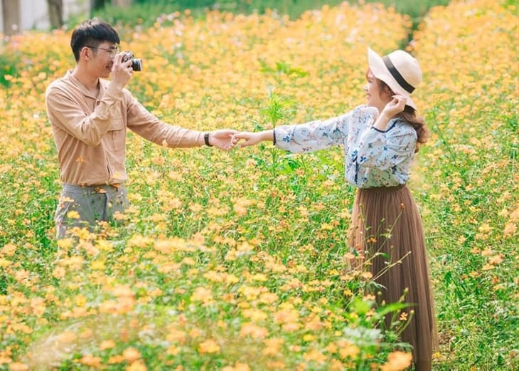 Phim trường Wonderland Thái Nguyên có cánh đồng hoa bát ngát