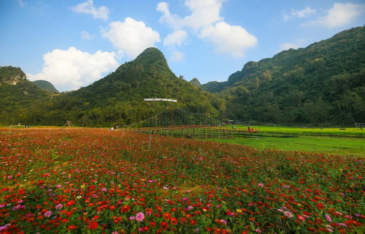 Thung Lũng Bắc Sơn tràn ngập trong ngàn sắc hoa