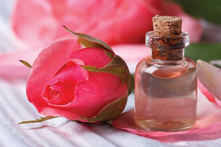 Tẩy trang thiên nhiên cho da dầu bằng nước hoa hồng