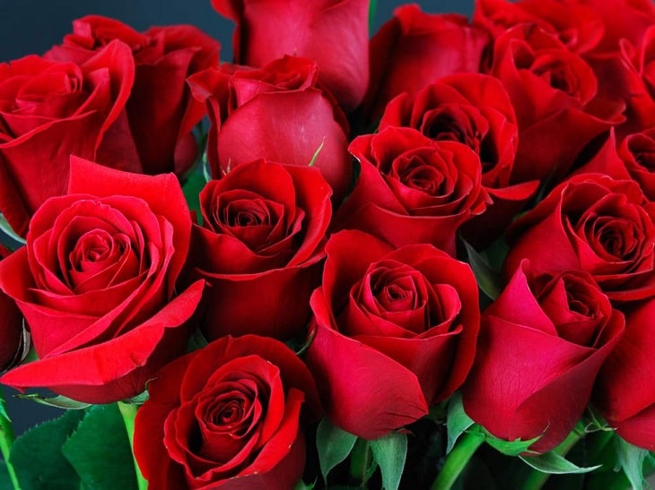 Hoa hồng là nguyên liệu tự nhiên được dùng nhiều trong trang điểm