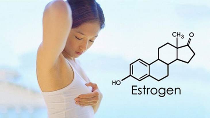 Các loại thực phẩm chức năng thường cung cấp hoạt chất estrogen thực vật 