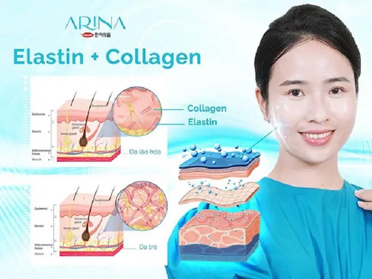 Công nghệ giúp kích thích cơ thể sản sinh các collagen và elastin tự nhiên