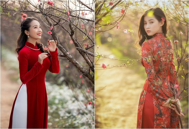 Chụp ảnh áo dài đỏ với hoa đào