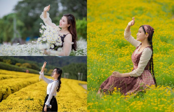 TOP 20 vườn hoa đẹp nhất Việt Nam và trên Thế giới  SGL  SaiGon Landscape