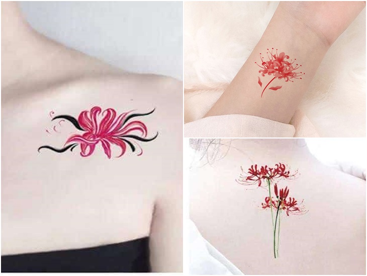 Hoa cẩm tú cầu có ý nghĩa gì Hình ảnh hoa cẩm tú cầu  TOKYOMETRO