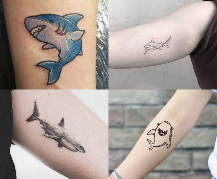 9 kiểu dáng và ý nghĩa hình xăm cá mập phổ biến  Văn Hóa Học