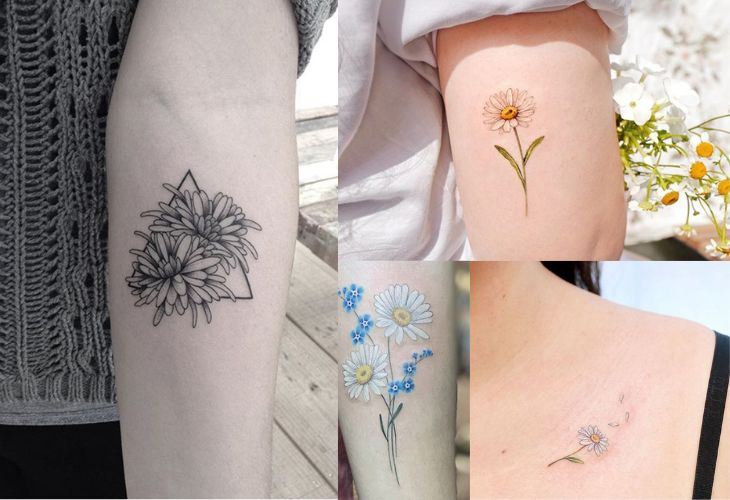 Ý nghĩa hình xăm hoa cúc họa mi trong nghệ thuật tattoo