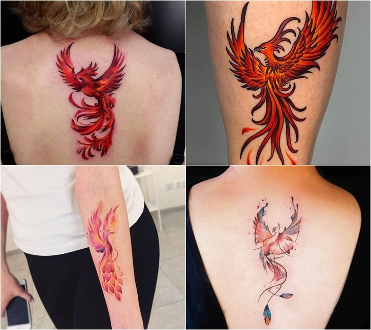 Ngắm nhìn bộ 199 hình xăm phượng hoàng nghệ thuật ấn tượng nhất  Tatuaje  de phoenix Tatuajes Inspiración para tatuaje