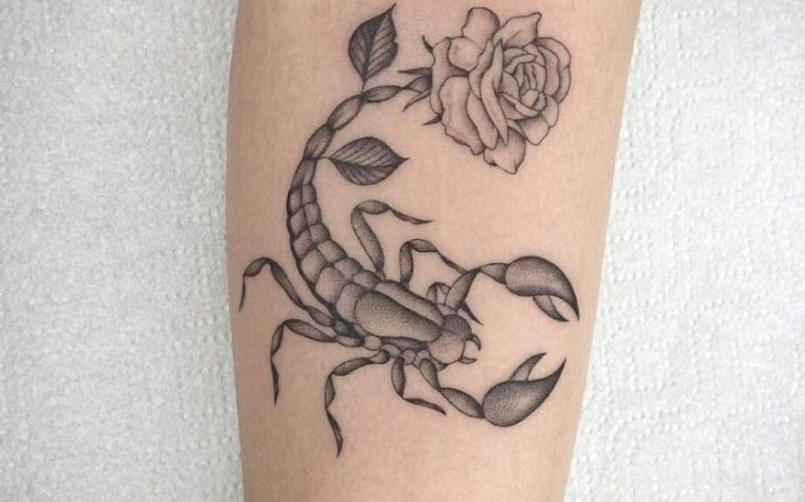 Tattoo bọ cạp kẹp đoá hoa hồng rất đẹp và ý nghĩa