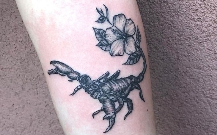 Tattoo bọ cạp cùng hoa dâm bụt