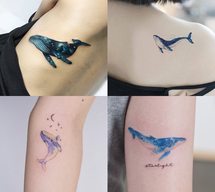 50 hình xăm cá voi cực chất cho nam giới  Whale Tattoo Designs  Hình xăm  Ý tưởng hình xăm Hình xăm thiên nhiên