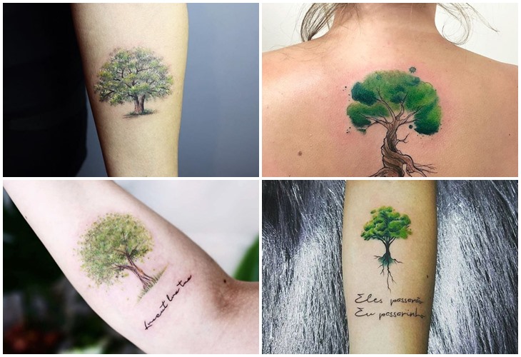 Hình xăm cây tre  Minh Tú Tattoo  Xăm Hình Nghệ Thuật  Facebook