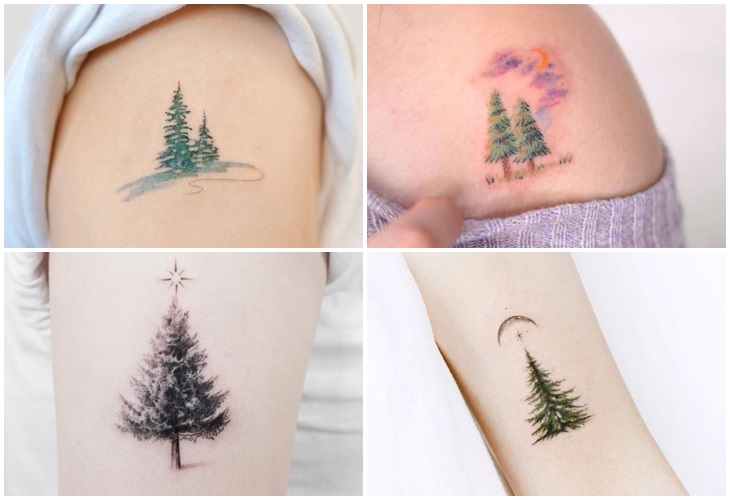 Tattoo cây thông là câu trả lời cho thắc mắc mệnh mộc xăm hình gì