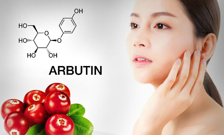 Arbutin có nguồn gốc từ cây Bearberry