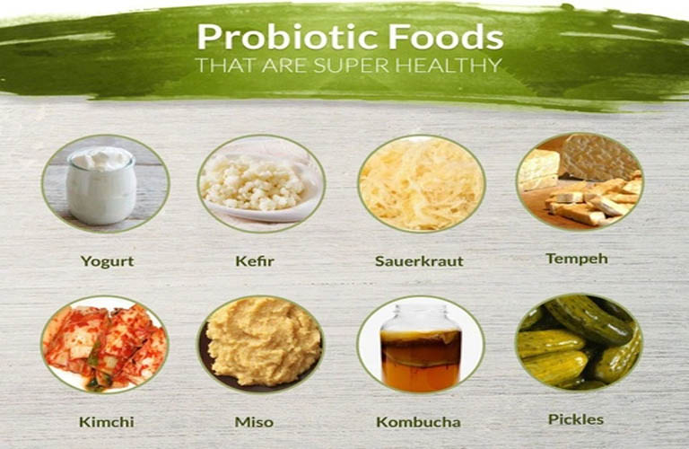 Bổ sung probiotic trong chế độ ăn